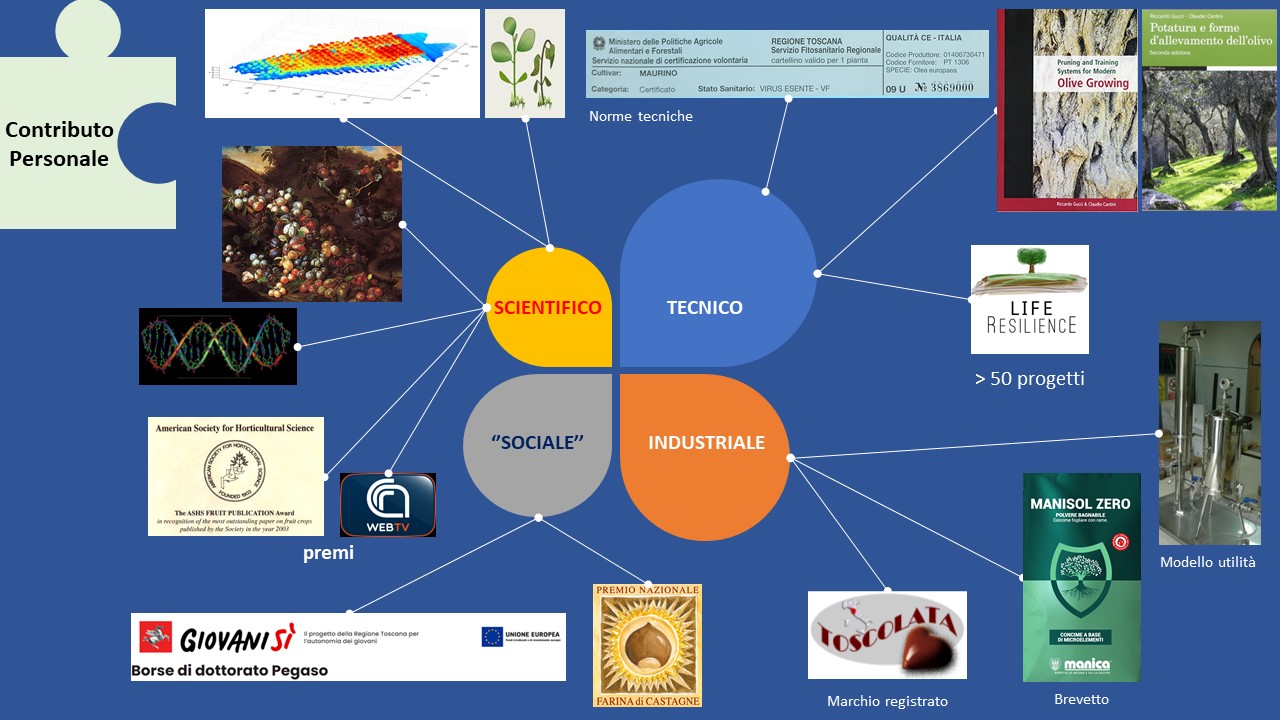 schema contributi.jpg