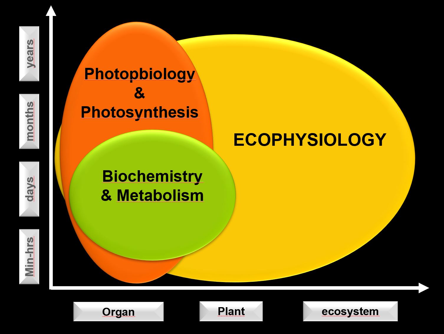 schema per web.JPG